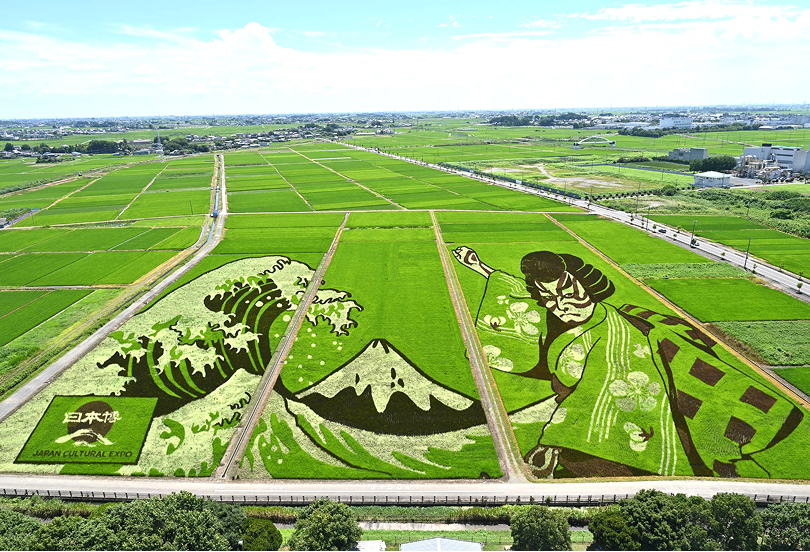 Gyoda Rice Field Art