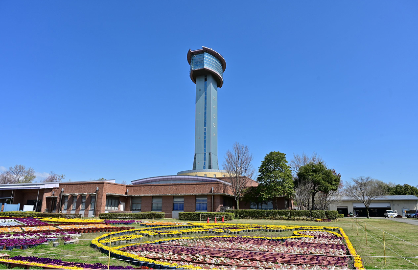 Gyoda Rice Field Art